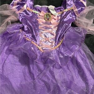 Disney Purple and Pink Princess Halloween Costume